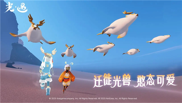 光遇单机截图4