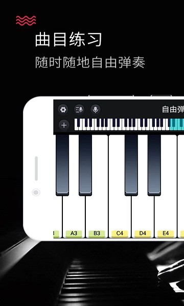 钢琴键盘绿色版截图1