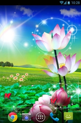 荷花壁纸最新版截图1