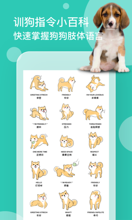 狗语翻译免费版截图1