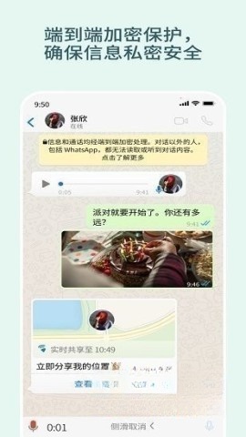 whats截图0