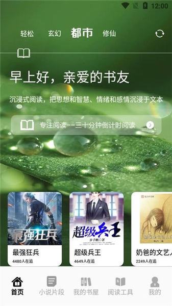追书大师轻享版
