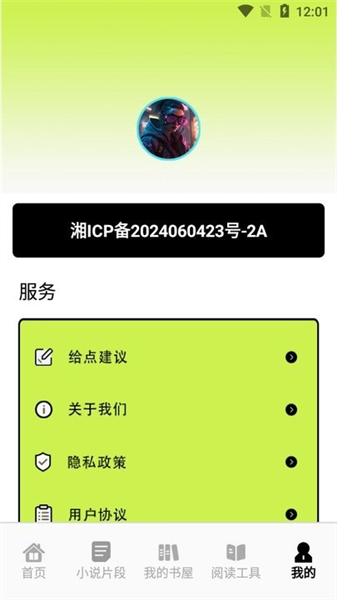 追书大师轻享版
