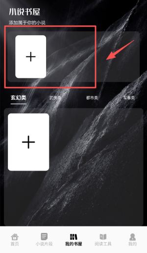 追书大师轻享版