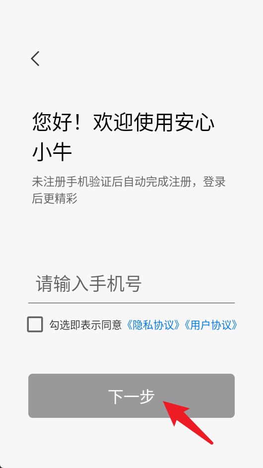 安心小牛