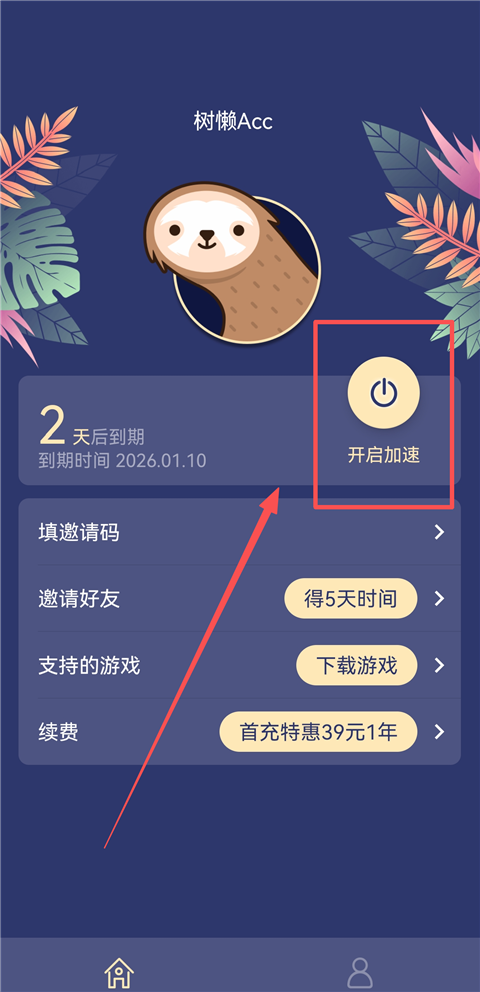 树懒Acc