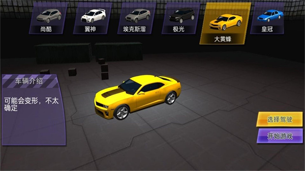 极限撞击赛车场截图1