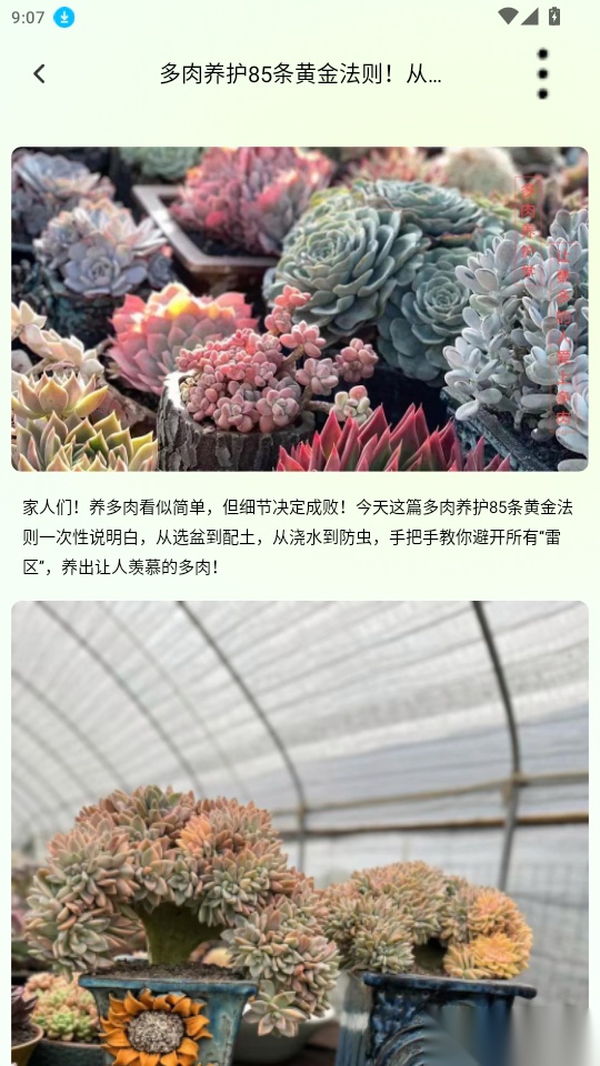 超自然的识物组