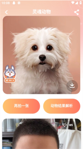 灵魂宠物最新版