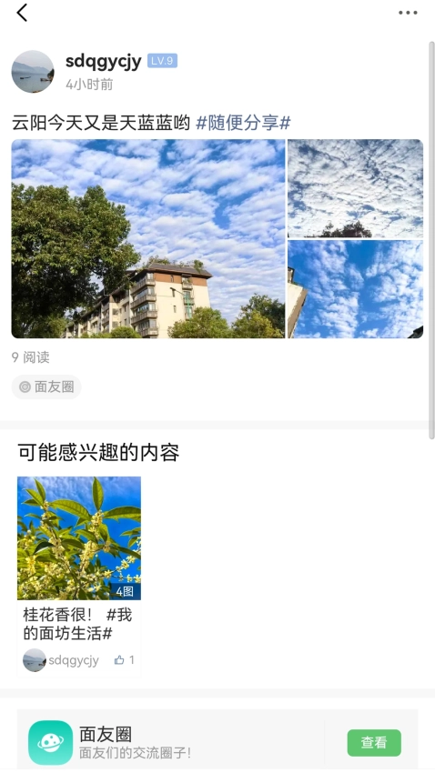重庆鲜面条截图1