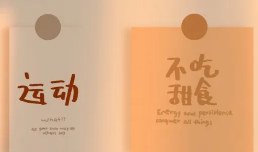 瘦身计划韩剧  安卓版