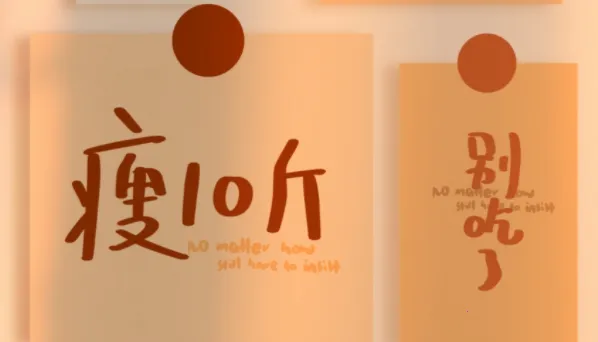 瘦身计划韩剧  安卓版