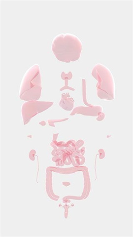 生命人体模拟器Life截图2