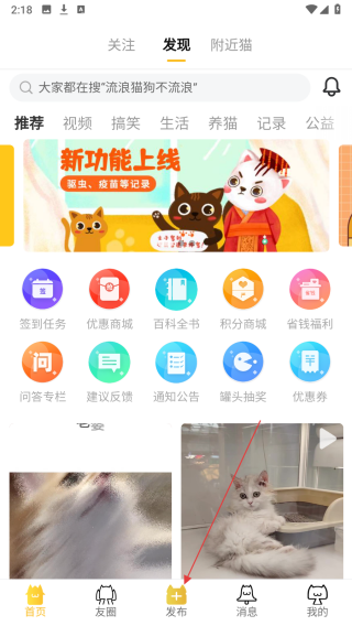 友猫