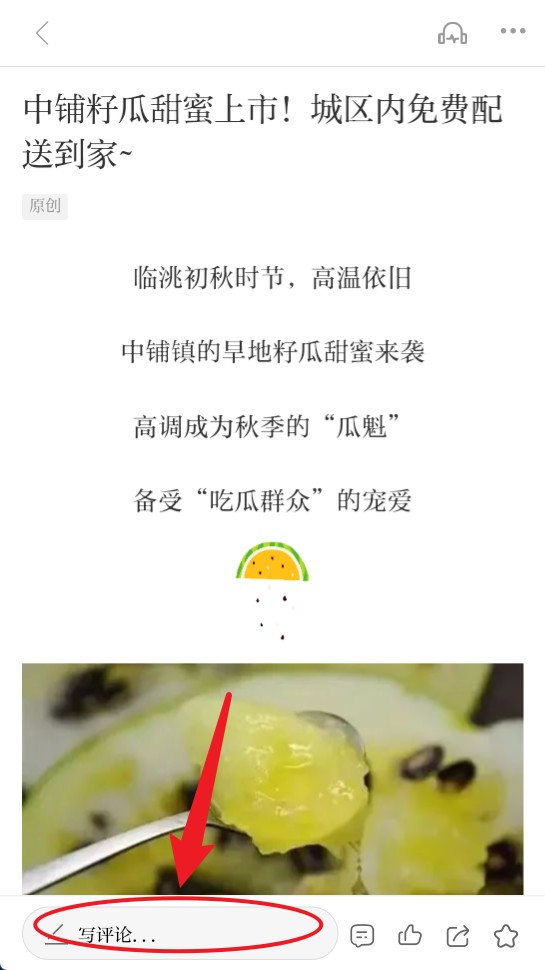 新临洮
