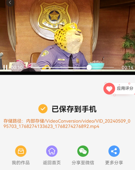 视频格式转换App