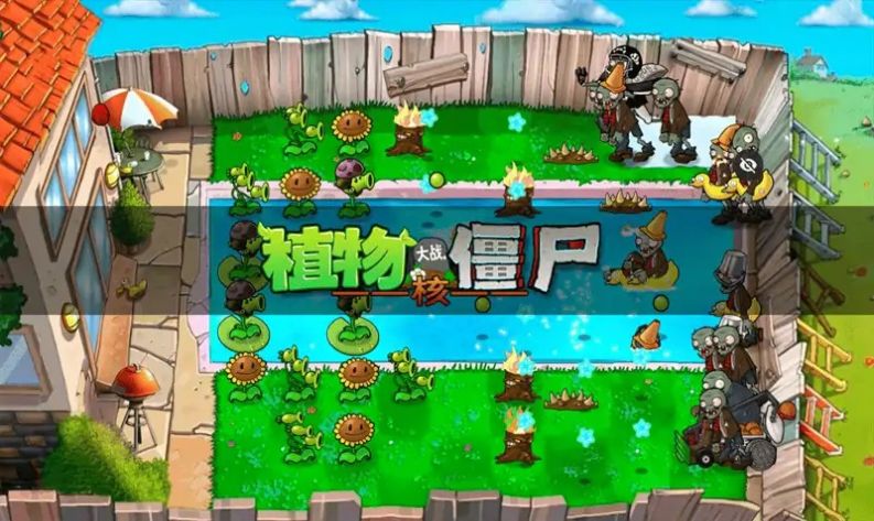 植物大战僵尸核版截图1