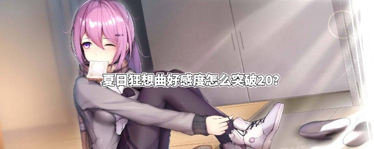 夏日狂想曲冷狐手机版