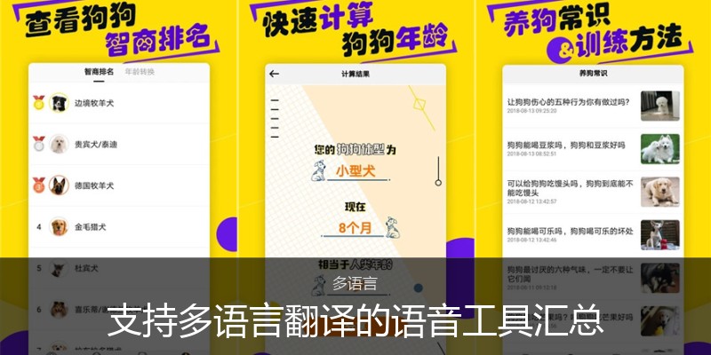 支持多语言翻译的语音工具汇总