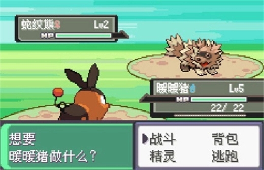 口袋妖怪漆黑的魅影Dp版