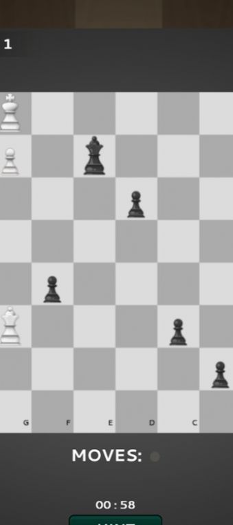 国际棋的狂热游戏截图0