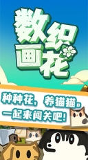 数织画花游戏
