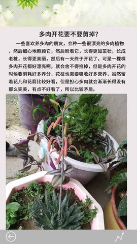 多肉花草日记截图1