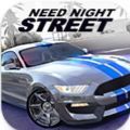 夜晚街道赛车中文版