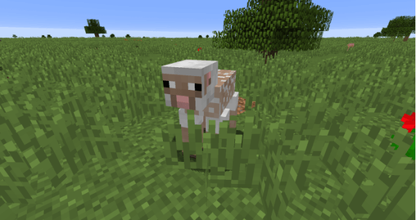 minecraft国际版1.21版本