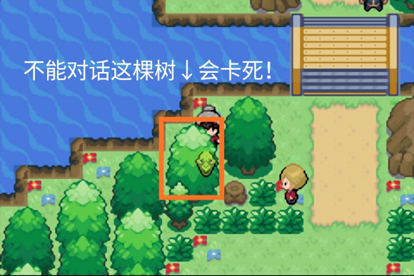 口袋妖怪剑盾截图2