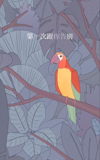 孤独的鸟儿完整版