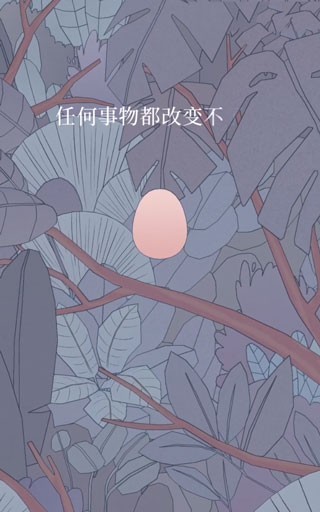 孤独的鸟儿完整版