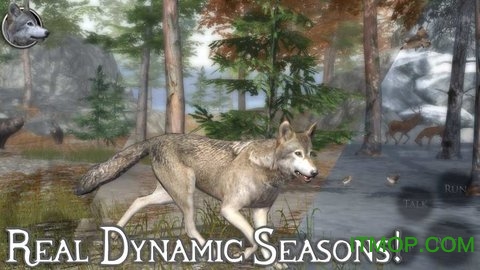 终极野狼模拟器2(UltWolf2)截图2