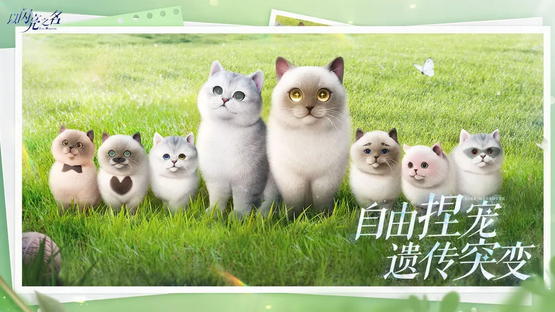 以闪亮之名周年庆版截图0