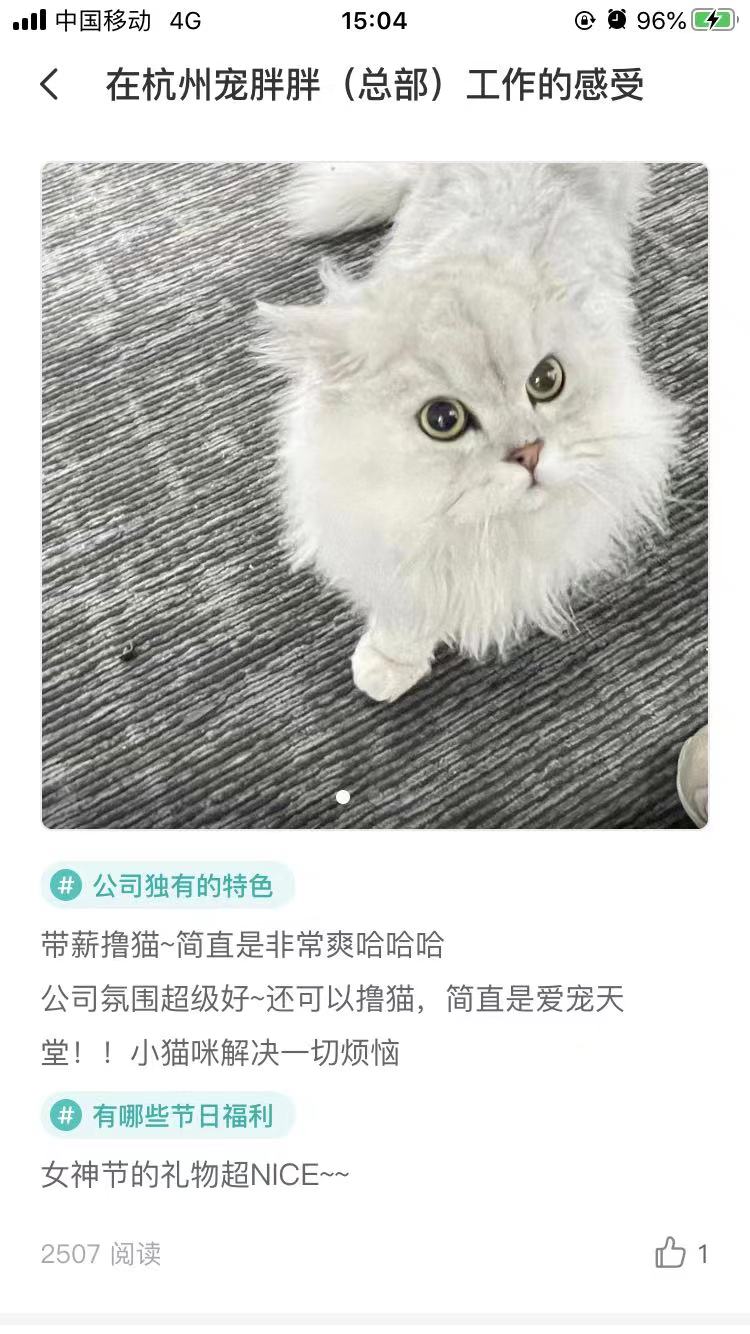 宠胖胖超级malll