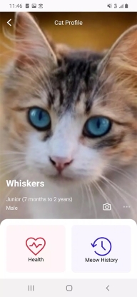meowtalk喵说安卓版截图2