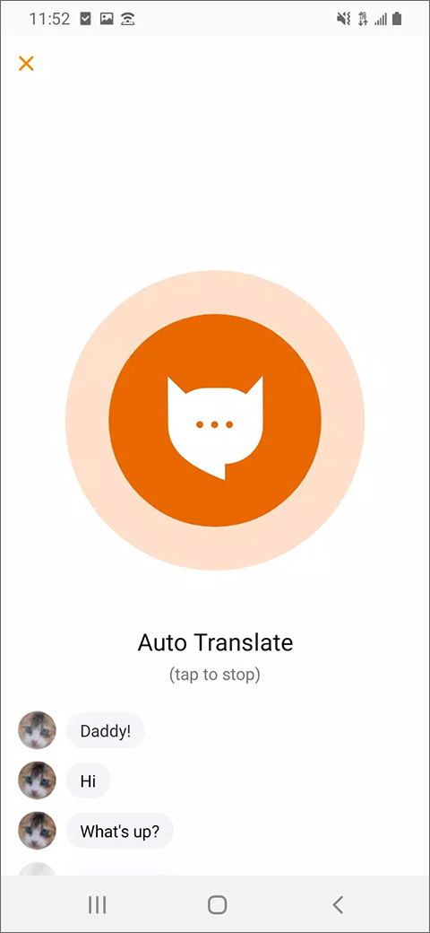 meowtalk喵说安卓版