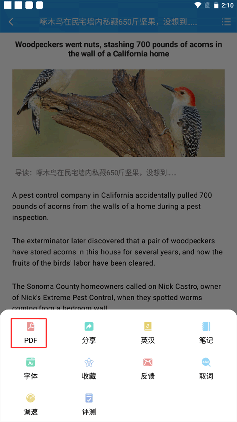 英语新闻双语版