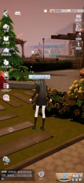 以闪亮之名国服截图3
