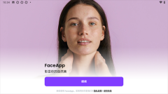 Face截图4