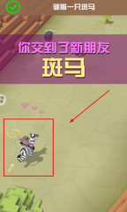 疯狂动物园正版