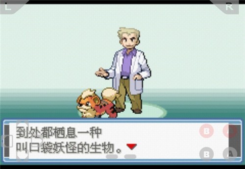口袋妖怪永恒之炎zero截图1