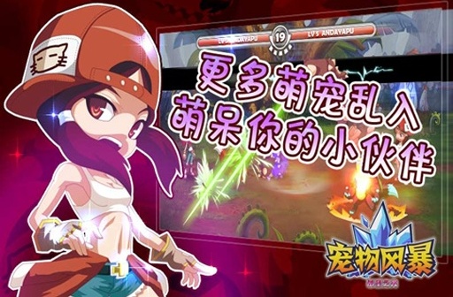 宠物风暴截图2