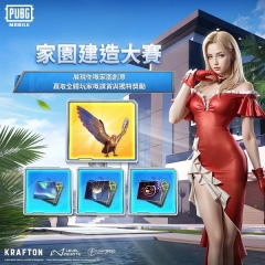 PUBGMOBILE国际版