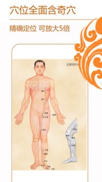 经络养生最新版截图2