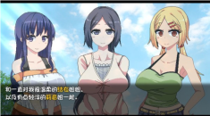 夏日狂想曲汉化版截图2
