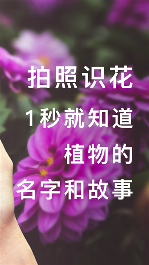 形色识花 v3.14.22 安卓版截图2