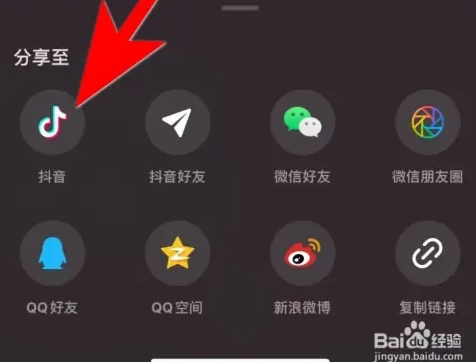 汽水音乐李跳跳版