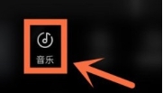 汽水音乐李跳跳版
