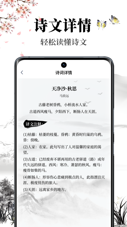 雅歌截图2
